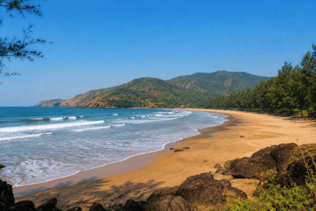 Arevare Beach Tourism Maharashtra Konkan Beach
